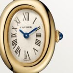 Baignoire watch CRWGBA0041 - 图片 6