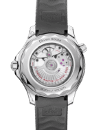Seamaster Diver 300M Co‑Axial Master Chronometer 42mm 210.32.42.20.06.002 - 图片 2